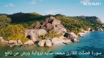 محمد سايد - سورة فصلت |041| MOHAMED SAYED - SURAT FUSSILAT