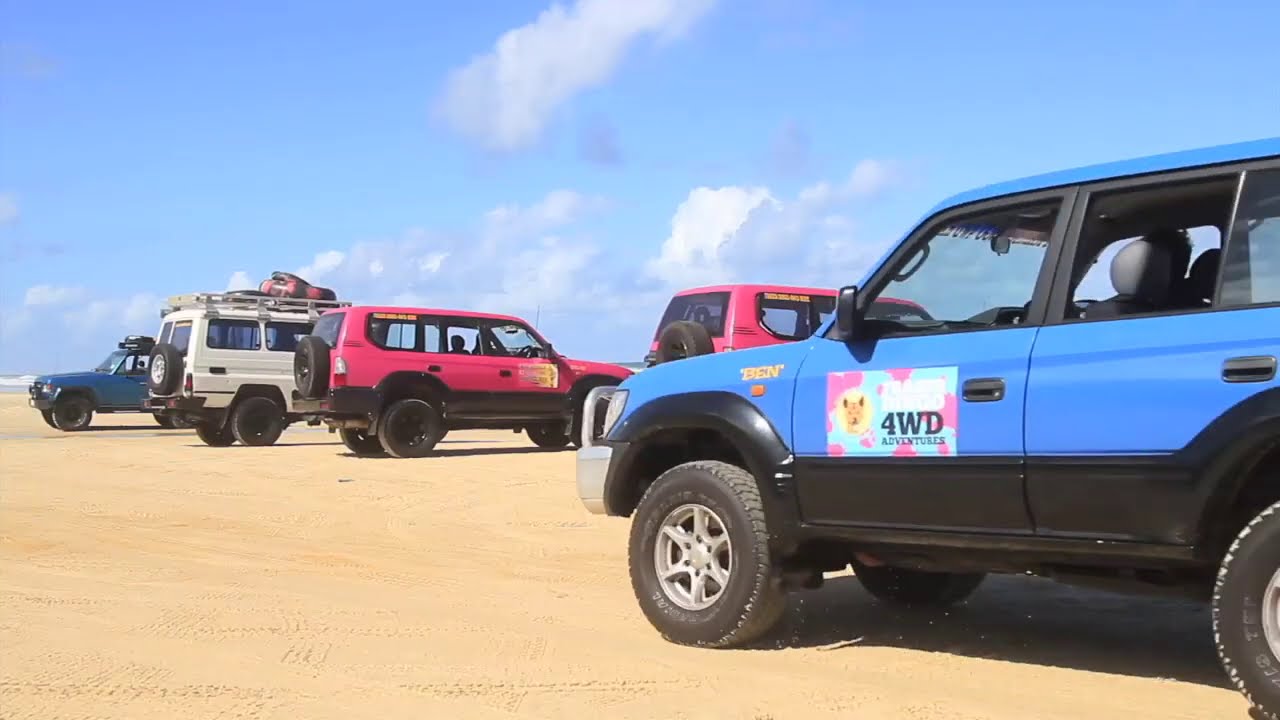 Fraser Dingo 4WD Hire from Hervey Bay by Grasshopper Travel