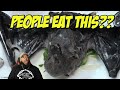 Top 15 Things You Wouldn't Believe People Actually Eat!