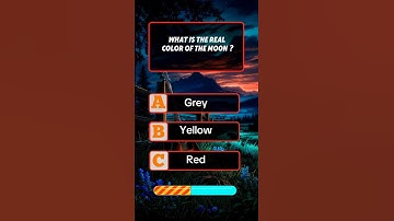 Can you get 5/5 ?#quizchallenge #testandlearn #englishquiz #mindbendingquiz #testyourknowledge