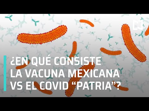 Vacuna Patria | ¿En qué consiste la vacuna mexicana Patria? - A las Tres