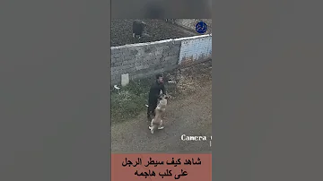 رجل شجاع يسيطر على كلب هاجمه Viral Trending 