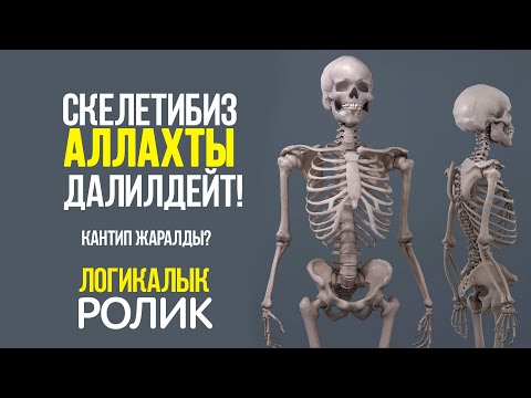 Video: Болбогон жол мененби?