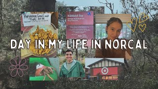 A Day in My Life in Humboldt CA