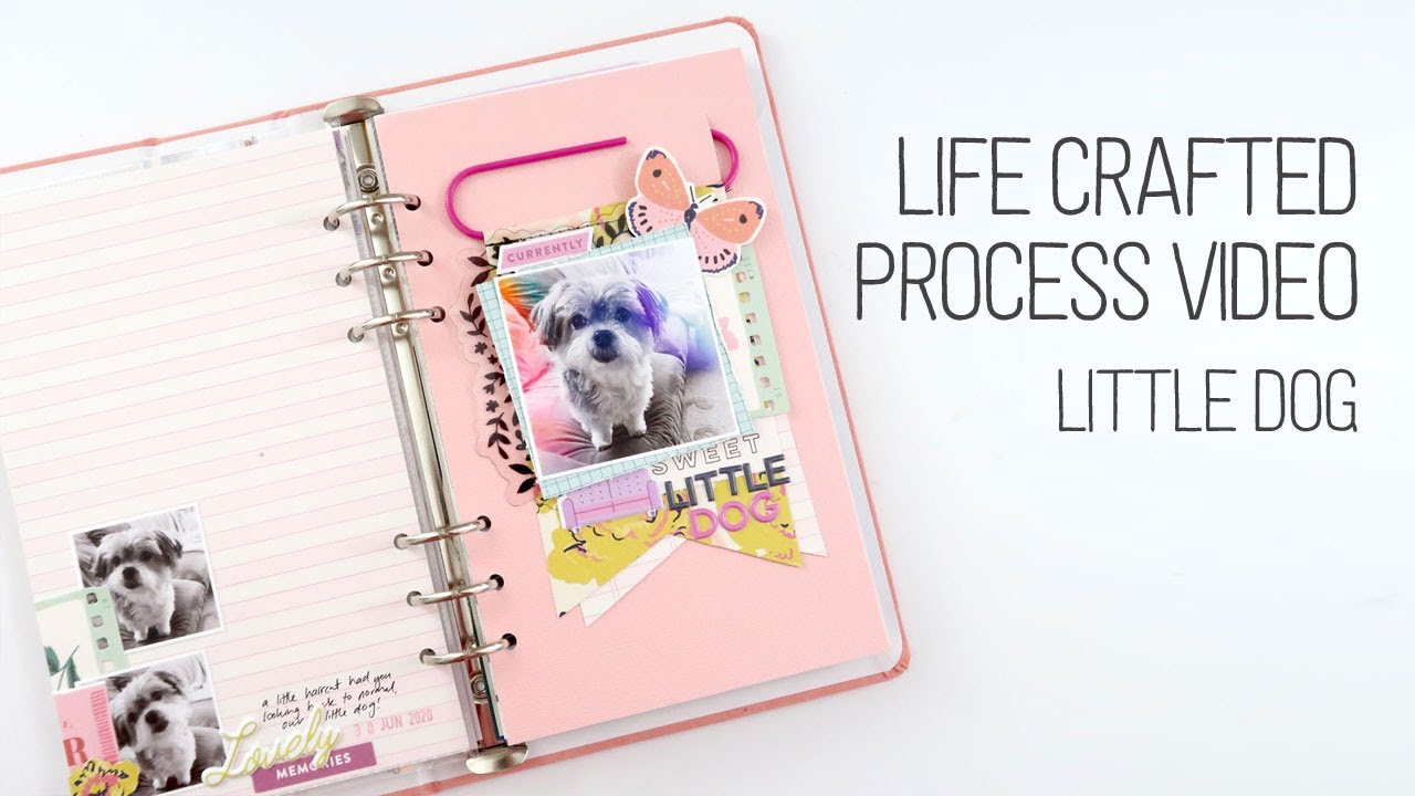Life Crafted Album // Little Dog // Paper clip pennant
