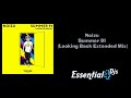Noizu Summer 91 Looking Back Extended Mix mp3