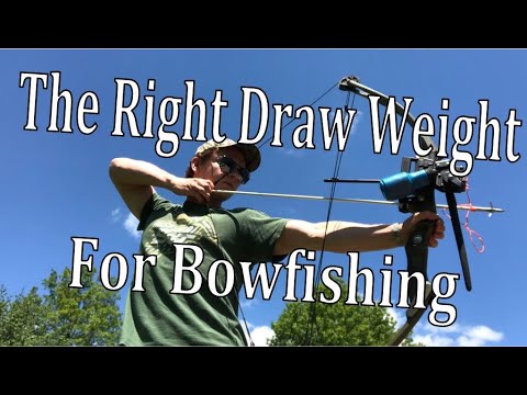 The Right Draw Weight For Bowfishing 