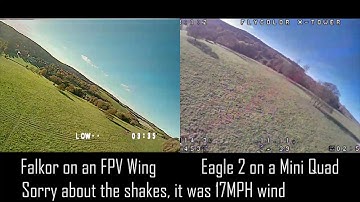 Foxeer Falkor vs. Runcam Eagle 2 - Flight Footage Comparison