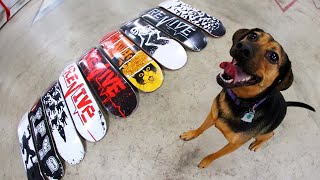 MY DOG CHOOSES MY NEW SKATEBOARD!