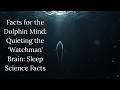 The Dolphin’s Guide to Quieting the ‘Watchman’ Brain: Sleep Science Facts