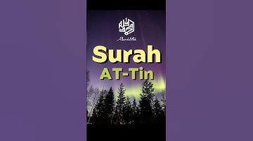 Surah At-Tin (The Fig) - Mishary Rashid Alafasy - مشاري بن راشد العفاسي - سورة التين