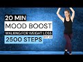 20 min  mood boost walking workout  2500 steps at home  fat burn 