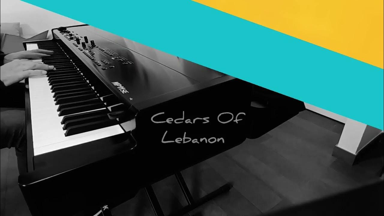 Cedars of Lebanon Steve Barakatt piano YouTube