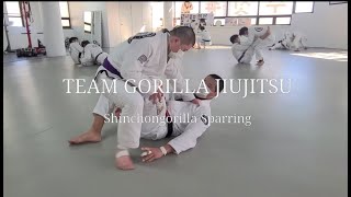 20211219 팀 고릴라주짓수 네트워크 합동수련 (Purple : 1Round / Bule : 3Round / White : 1Round)