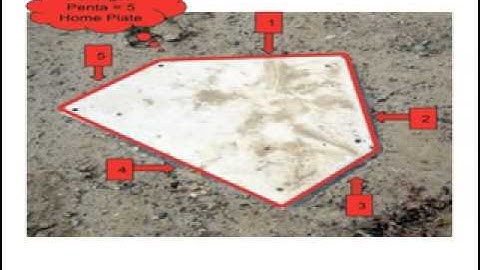 Identifying Polygons