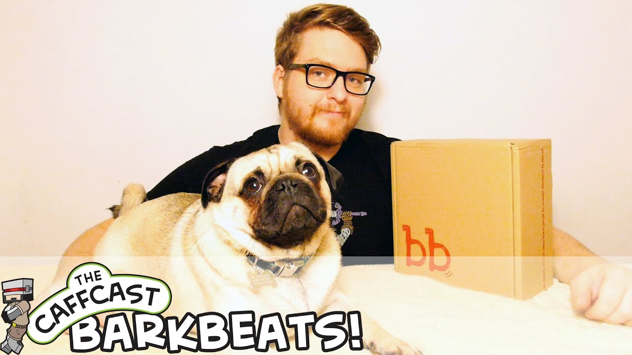 BarkBeats Unboxing With Doug The Pug - October 2015 (Dog Puppy Box Monthly Unboxing & Review)