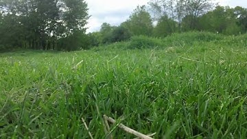 Cinestar 8 test video