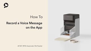 Record a Voice Message | PETLIBRO One RFID Pet Feeder by PETLIBRO 113 views 3 months ago 1 minute, 2 seconds