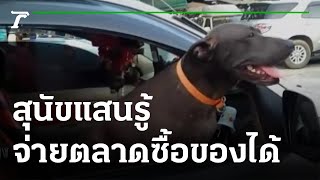 "เจ้านาง”สุนัขแสนรู้ จ่ายตลาดซื้อของ | 28-10-64 | ข่าวเที่ยงไทยรัฐ