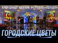 Александр Иванов и группа «Рондо» — «Городские цветы» (КАРАОКЕ, ТВ, 2015)
