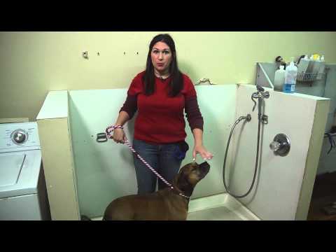 How to Bathe a Large Dog Who Is Resistant During Bath Time? : Dog Training Tips