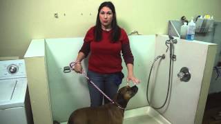 How To Bathe A Large Dog Who Is Resistant During Bath Time? Dog Training Tips