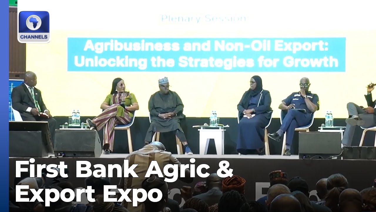 Experts, Industry Players Explore Fundamentals Of Building A Non Oil Economy
