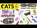 Cat tv  150 in 1 ultimate compilation   game for cats  10 hours 4k