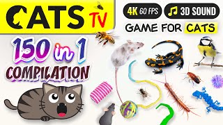 CATS TV  150 in 1 Ultimate Compilation  Game for cats  10 HOURS  4K