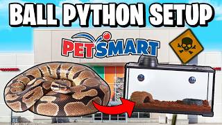 Ball Python Setup for Beginners