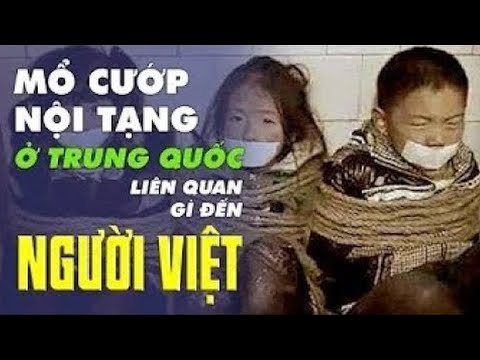 Mổ cướp nội tạng ở Trung Quốc liên quan gì đến người Việt? - Tinh Hoa TV