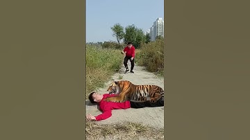 Thumbnail of Tiger is Full🐯3D Special Effects | 3D Animation #shorts #vfxhd