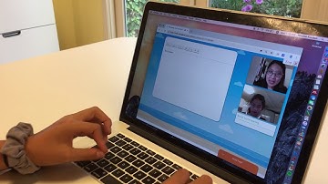 PandaTree Shared Document Editor Writing