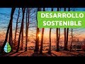 DESARROLLO SOSTENIBLE - Ventajas y desventajas del DESARROLLO SOSTENIBLE