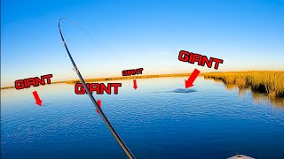 I NEVER Wanted to Catch These GIANT Fish ** MOST IMPORTANT ONE OF THE YEAR!!