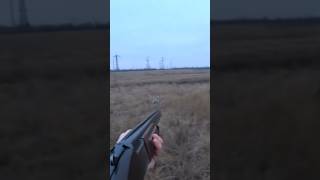 ОХОТА НА ЗАЙЦА🐇.Чернотроп.Hare hunting.#охота #охотаназайца #чернотроп#hunter#hunting