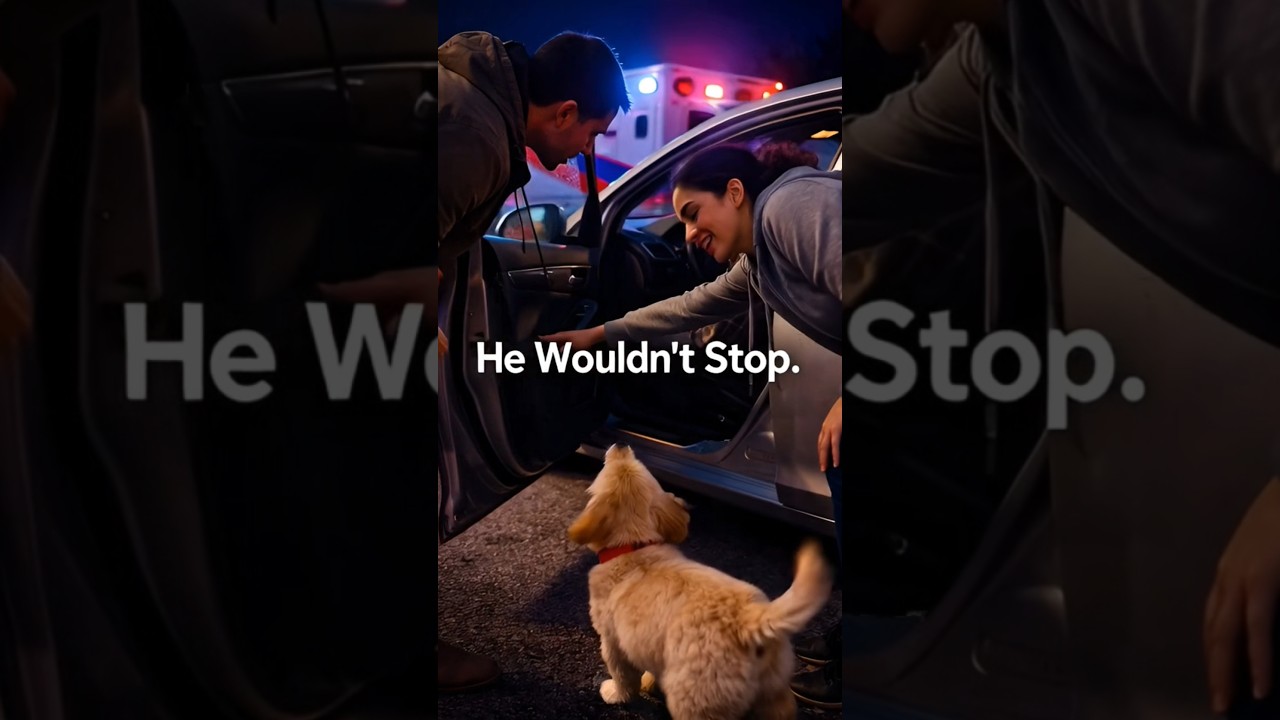 This Puppy Saved a Man’s Life 🐶❤️
