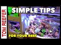 Reef tank  simple tips for keeping your reef tank 