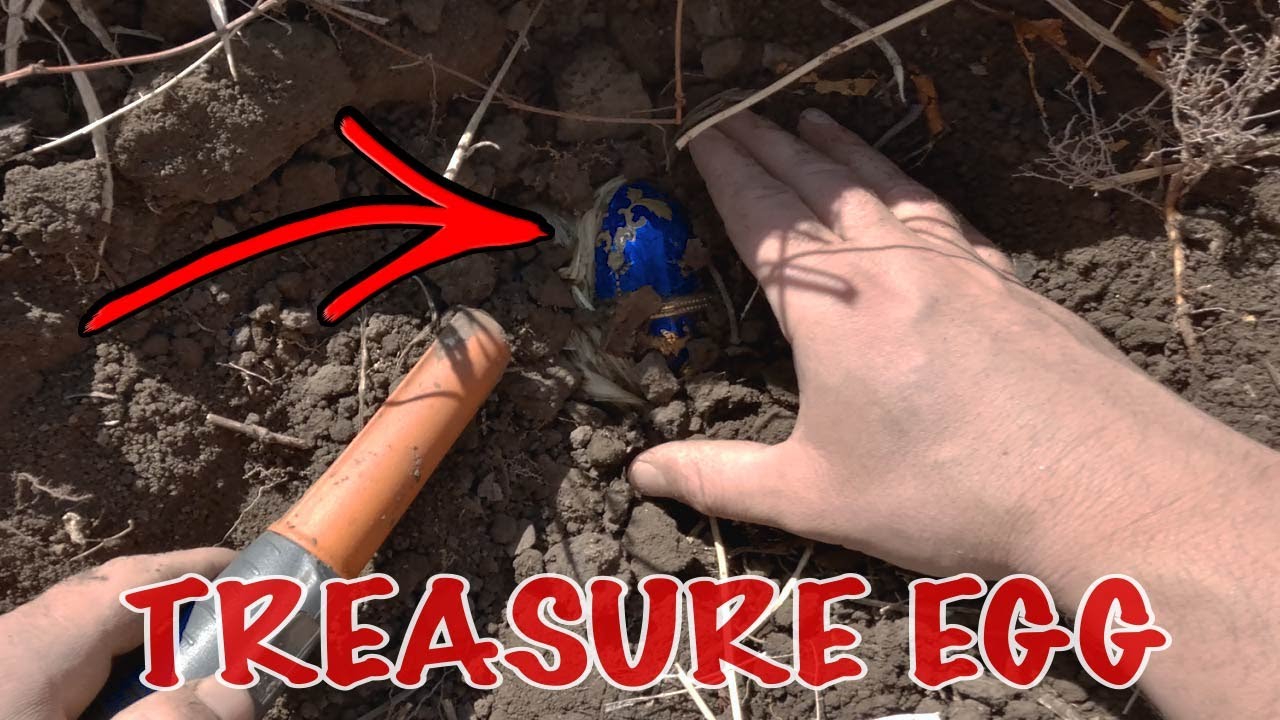 Insane treasure Egg 👑💎 With GOLD & DIAMOND Inside!