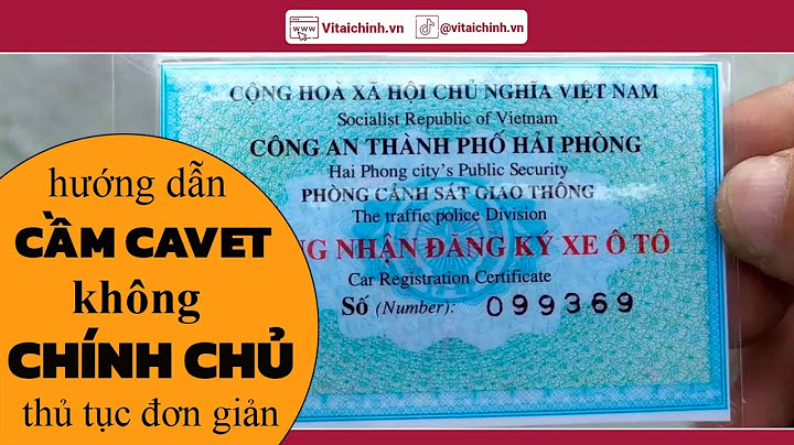 Cầm cà vẹt xe máy được bao nhiêu tiền năm 2024