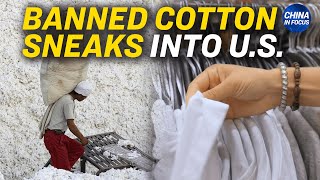 Banned Cotton Found in One-Fifth of US, Global Stores | China in Focus