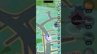 2 Galarian Bird Shiny Checks! #pokemongo