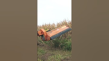 Mulch to the side of the tractor has never been easier. #shorts #berti  #mulcher #bertimulcher