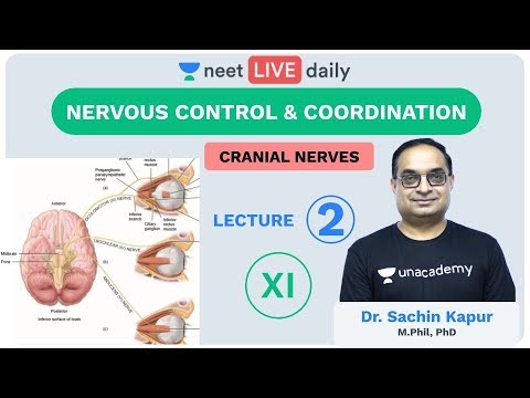 Neural Control and Coordination - L2 | Unacademy NEET | LIVE DAILY | NEET Biology | Dr. Sachin Sir