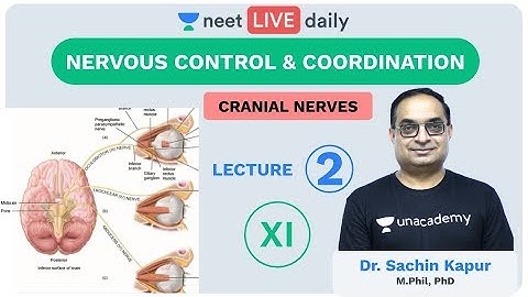 Neural Control and Coordination - L2 | Unacademy NEET | LIVE DAILY | NEET Biology | Dr. Sachin Sir