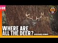 86 where are all the deer  deer talk now podcast