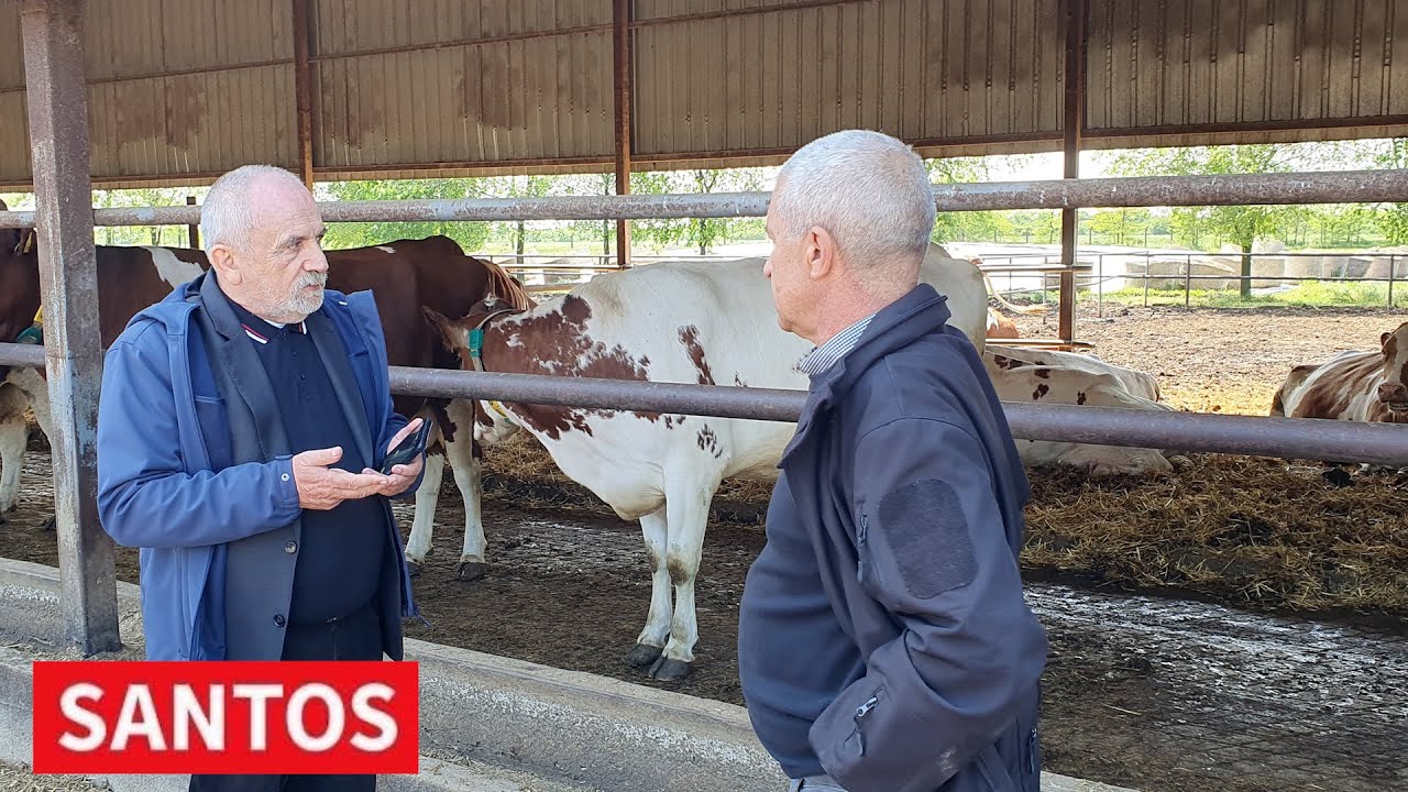 MARIJAN RISTIČEVIĆ POSETIO ZZ 