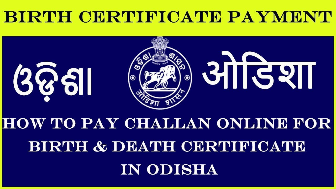 Beautiful view of Analysts For Birth Certificate Payment