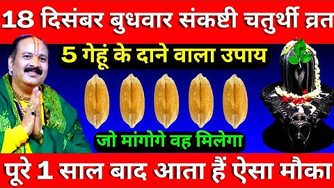18 दिसंबर बुधवार संकष्टी चतुर्थी व्रत के दिन 5 गेहूं के दाने वाला उपाय जरूर करें ||Pradeep Ji Mishra