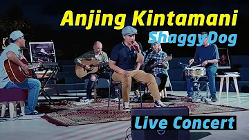 Anjing Kintamani - Shaggydog (Live Konser Akustik)